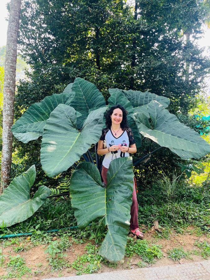 Fab Valley Homestay Munnar Esterno foto